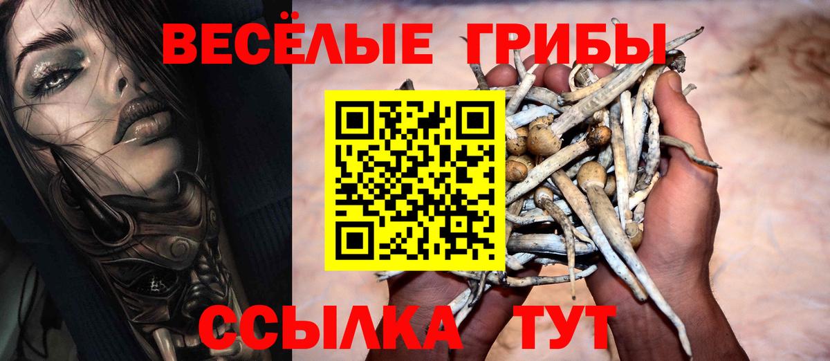 Галлюциногенные грибы GOLDEN TEACHER  Вход с VPN  Санкт-Петербург 