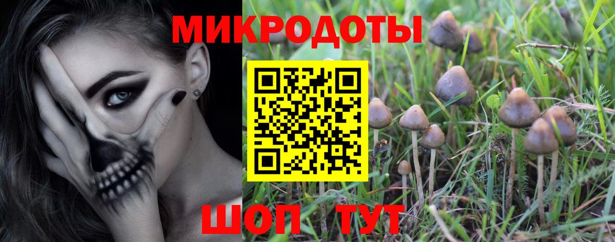 Галлюциногенные грибы Psilocybine cubensis Санкт-Петербург